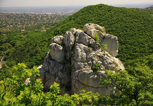 Best_nature_runs_in_budapest_1200x630_2