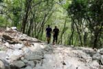 Geneva climb 8k 2