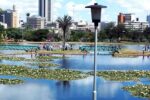 Nairobi citypark 12k 750x500