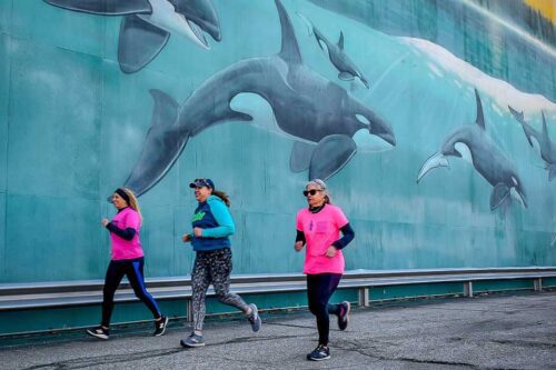 indianapolis circle city districts tour 8k 960x640 1 1