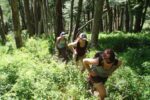 patagonia running trip 960x640 4 725x483.jpg