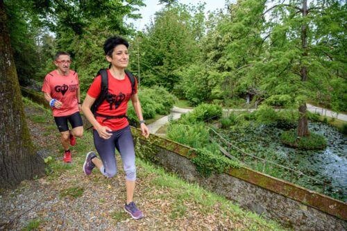 ancient walls of lucca 10k 960x640 4