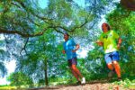 new orleans city park  and a beignet 10k 960x640 2
