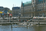 head of hamburg 5k 960x640 4