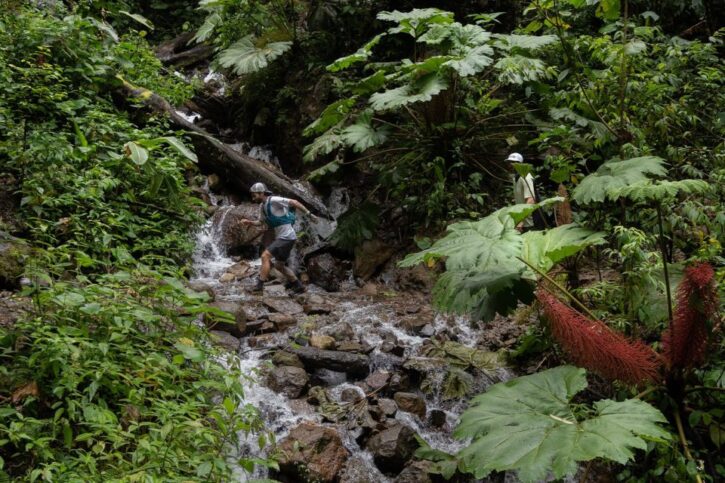 costa_rica_trail_run_960x640-1