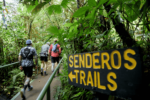 costa_rica_trail_run_960x640-3