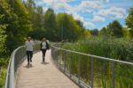 toronto east waterfront run 8k