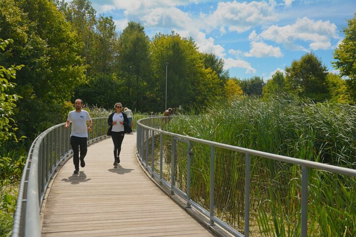 toronto east waterfront run 8k