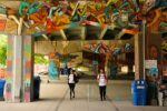 toronto east waterfront run 8k