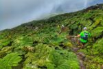 run nica rogue expeditions