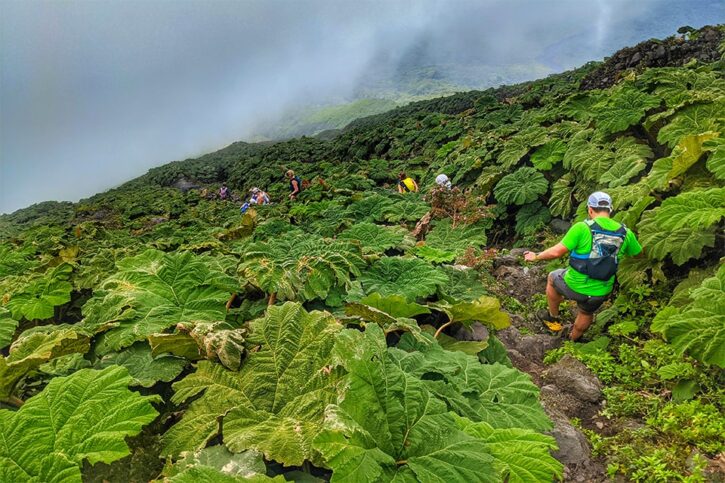 run nica rogue expeditions
