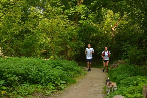 toronto conservation area run adventure 21k