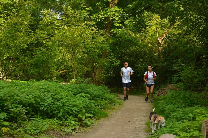 toronto conservation area run adventure 21k