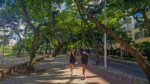 Go! Running Tours - Alah's Garden. Rio De Janeiro