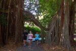 miami_old_cutler_trail_21k_960x640-1-min