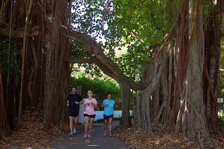 miami_old_cutler_trail_21k_960x640-1-min