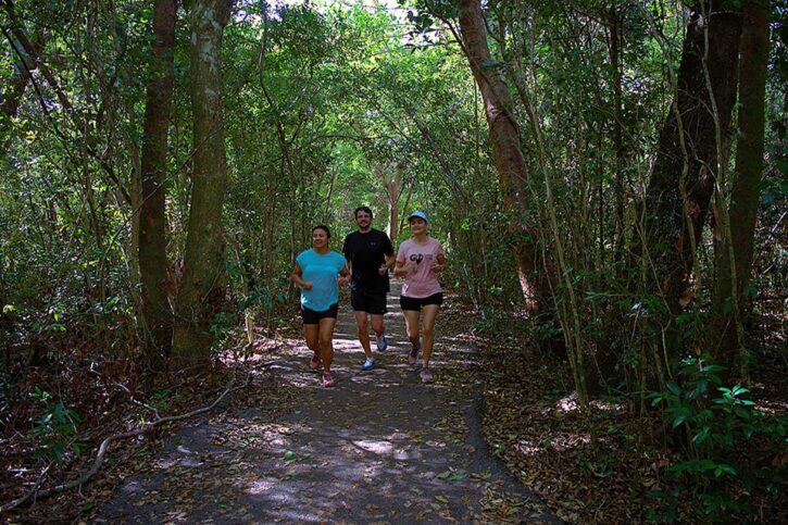 miami_old_cutler_trail_21k_960x640-2-min