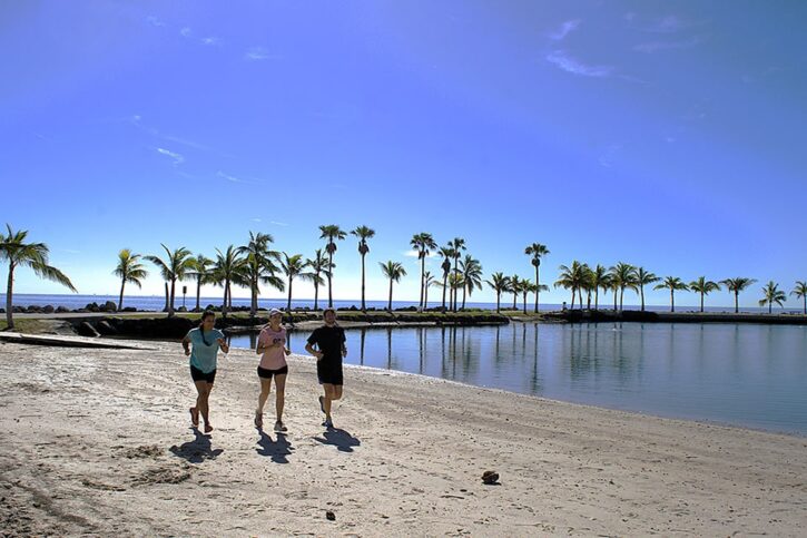 miami_old_cutler_trail_21k_960x640-3-min