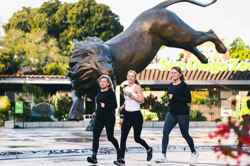 san_diego_tours - san_diego_balboa_park_9k - 960x640-3
