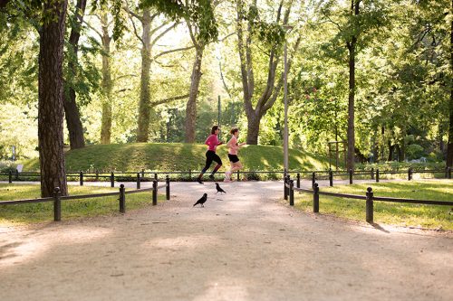 Go! Running Tours Budapest Long City Run