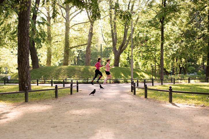 Go! Running Tours Budapest Long City Run