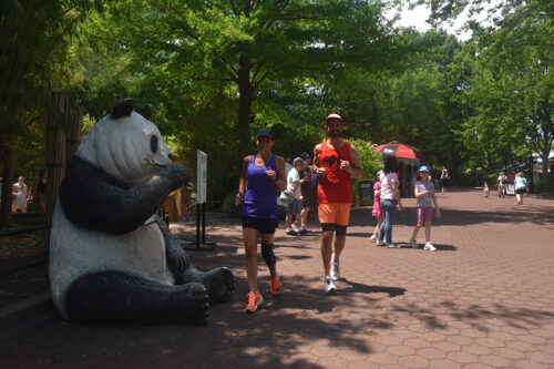 WASHINGTON D.C. NATIONAL MONUMENTS, HISTORIC NEGHBORHOODS AND THE ZOO - 22K
