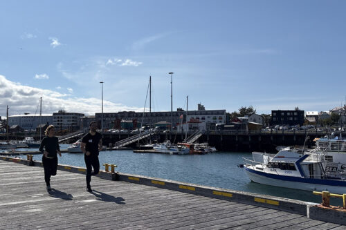REYKJAVIK JUST RUN - 7K