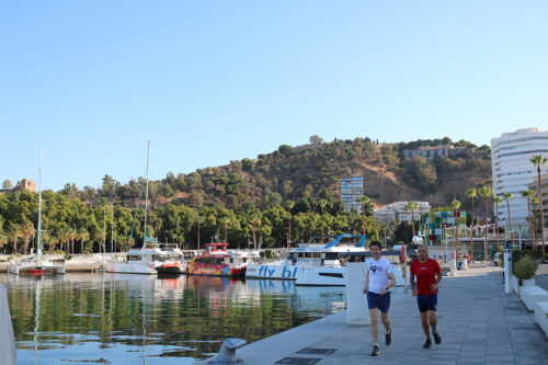 SUN, SEE BREEZE AND SARDINE SKEWERS – 21K
