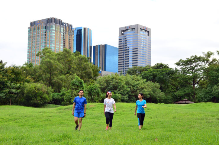 Park Run 5km (2)