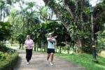 kuala_lumpur_rainforest_to_skyline_12k - 960x640-3