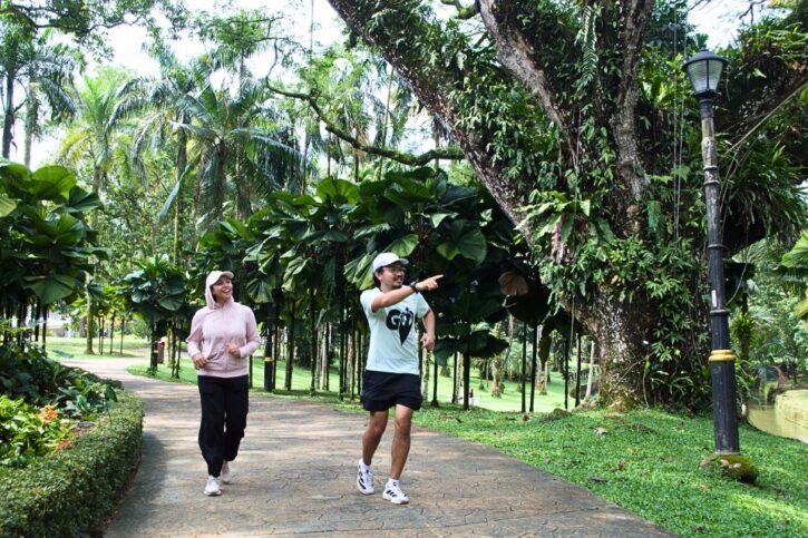 kuala_lumpur_rainforest_to_skyline_12k - 960x640-3
